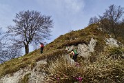 Monte Suchello (1541 m) da Aviatico (1080 m) il 13 aprile 2015  - FOTOGALLERY